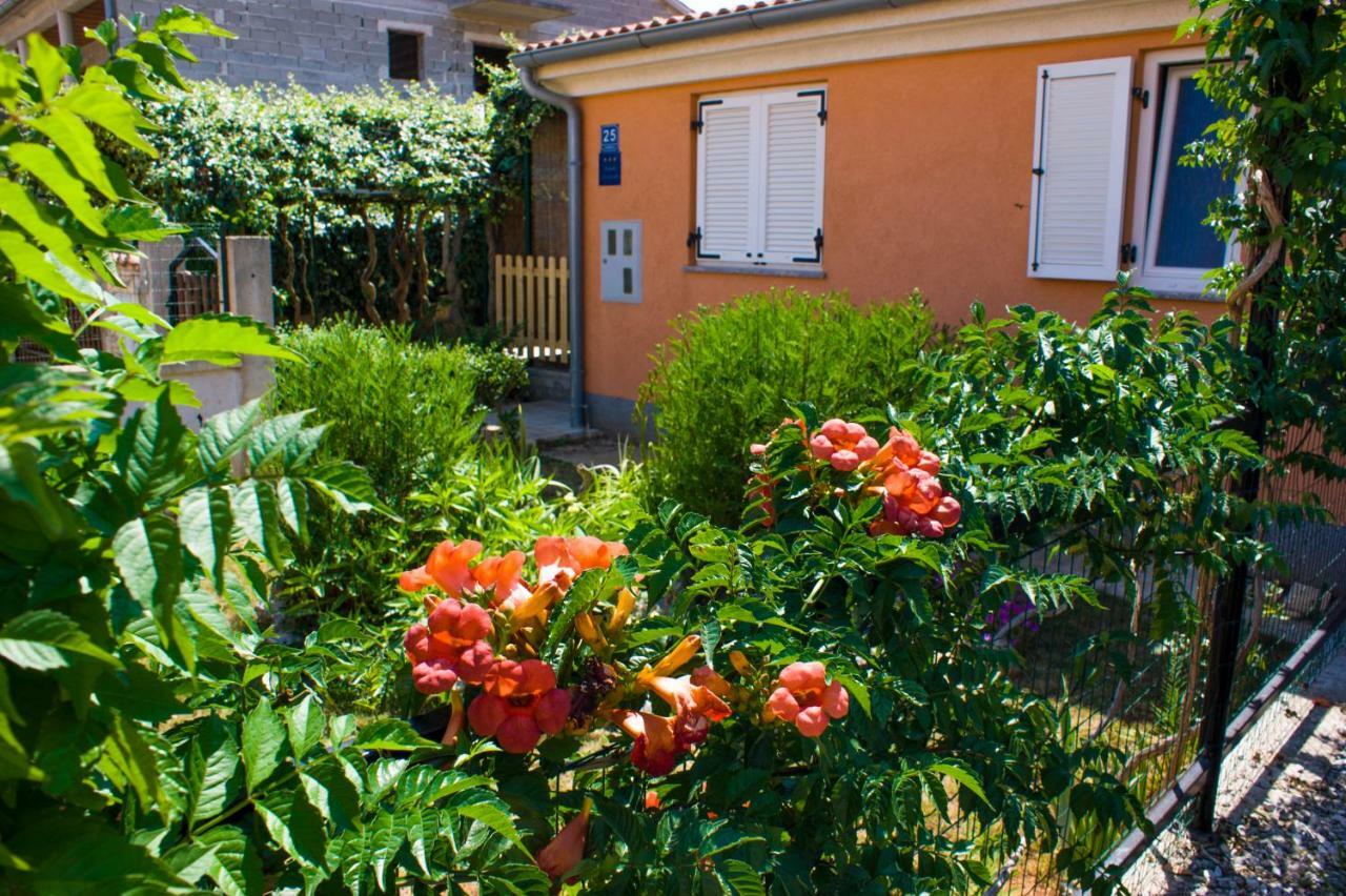 Apartament Arijana
